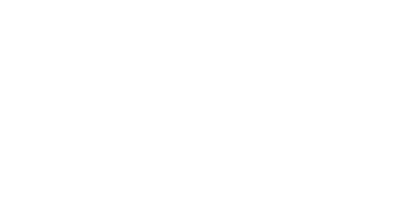 VZVP Logo